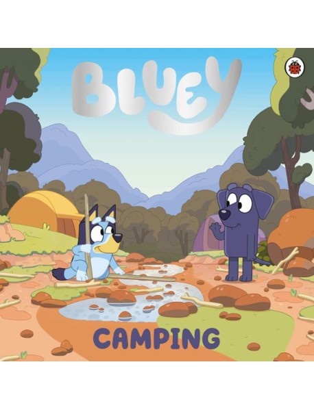 Bluey Camping