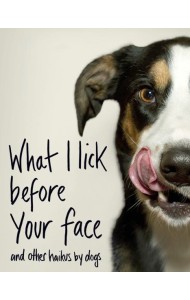 What I Lick Before Your Face and Oth