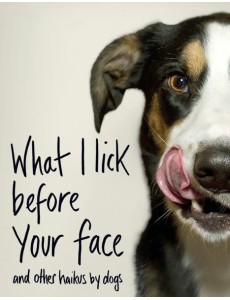 What I Lick Before Your Face and Oth