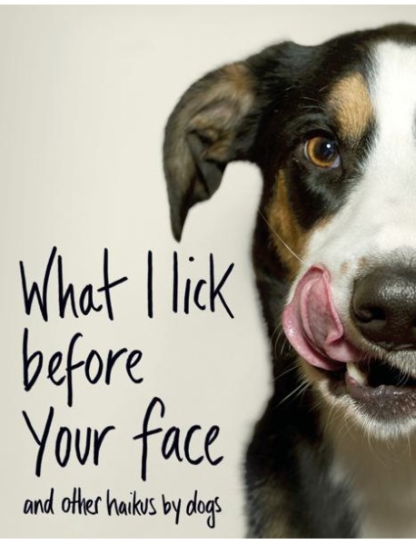 What I Lick Before Your Face and Oth