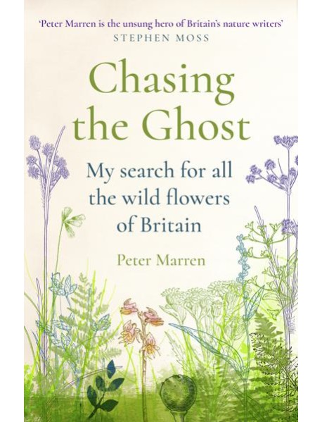 Chasing the Ghost