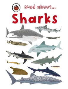Mad About Sharks Mad About Sharks
