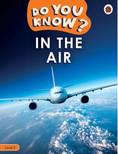 Do You Know Level 2 In the Air