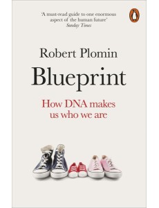 Blueprint Blueprint