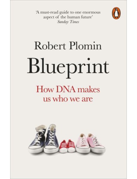 Blueprint