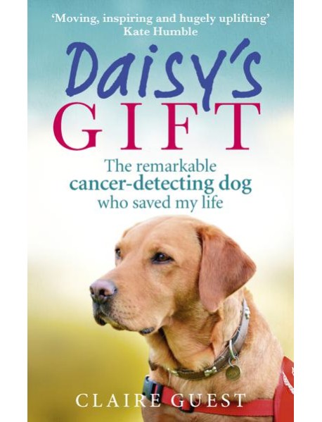 Daisys Gift