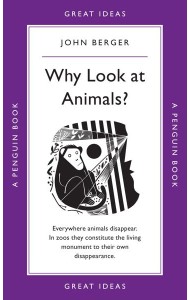 Why Look at Animals