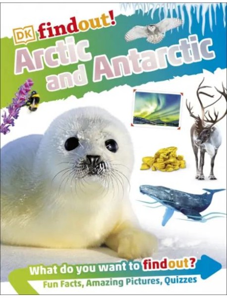 DKFindout Arctic and Antarctic