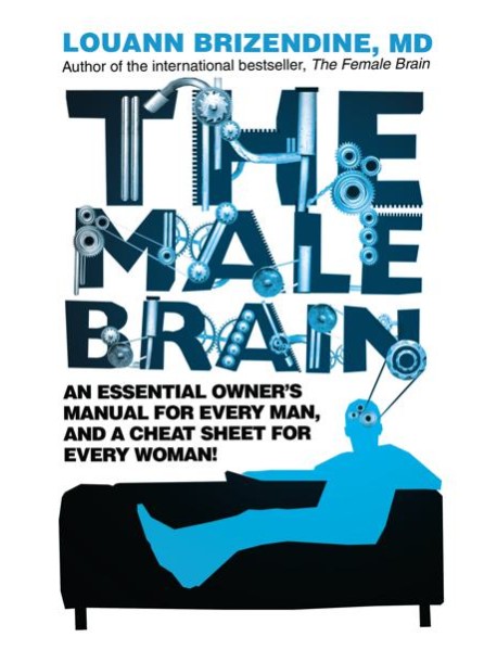 The Male Brain