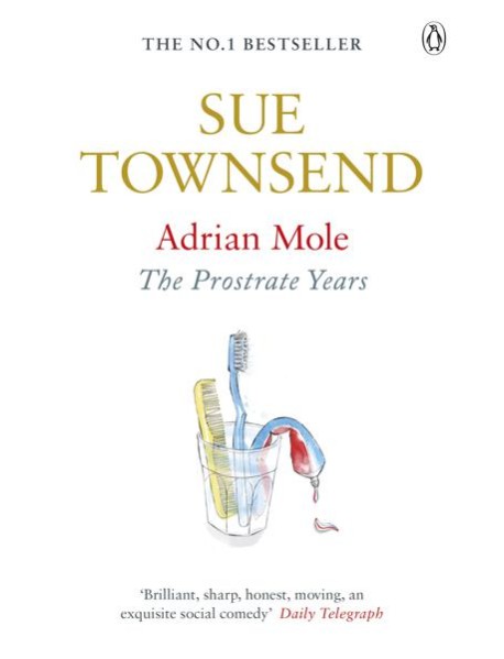 Adrian Mole The Prostrate Years