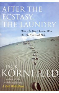 After The Ecstasy The Laundry