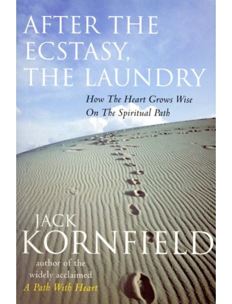 After The Ecstasy The Laundry