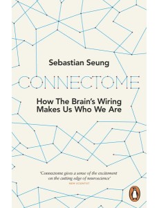 Connectome Connectome