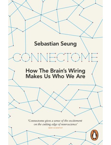 Connectome