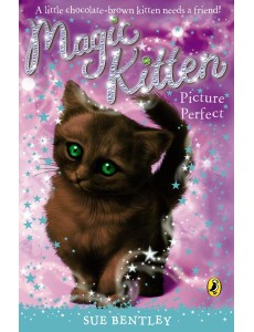 Magic Kitten Picture Perfect