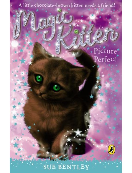 Magic Kitten Picture Perfect