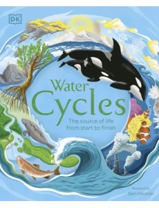 Water Cycles Water Cycles