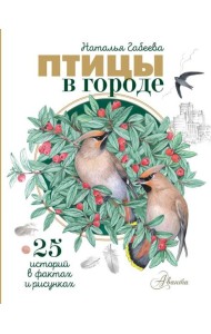Птицы в городе. 25 историй в фактах и рисунках