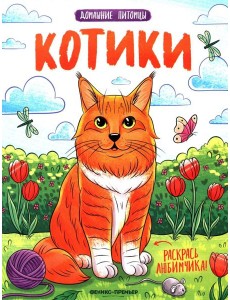 Котики: книжка-раскраска