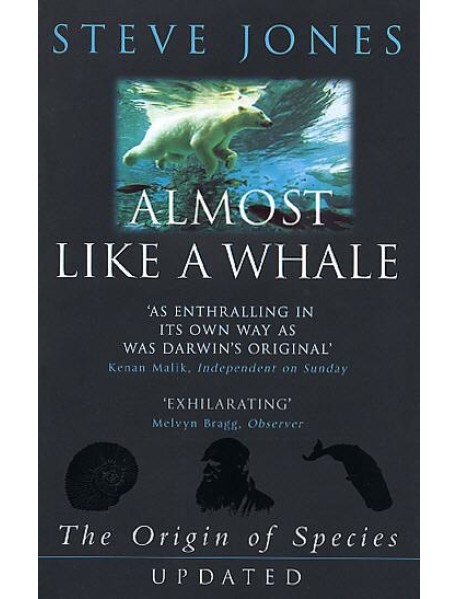 Almost Like A Whale