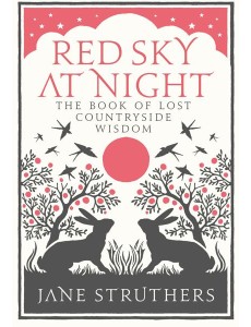 Red Sky at Night