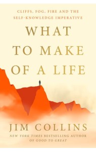 What to Make of a Life
