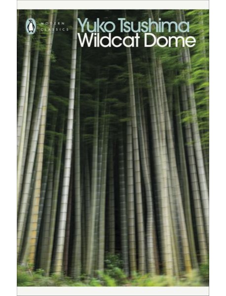 Wildcat Dome