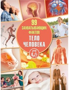 Тело человека
