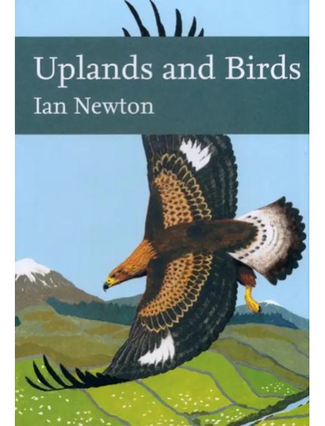 Uplands And Birds
