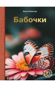 Бабочки