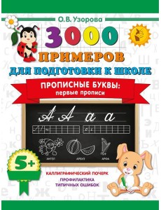 Прописные буквы: первые прописи