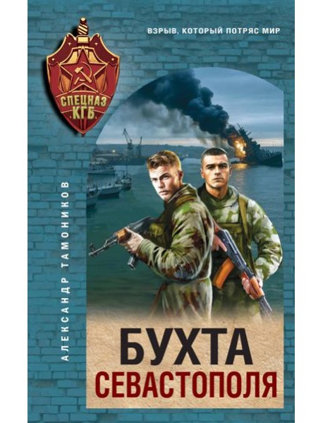 Бухта Севастополя