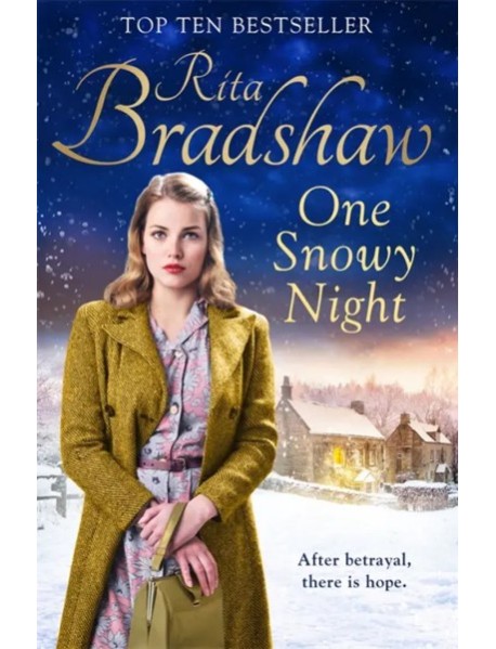 One Snowy Night