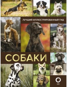 Собаки. Лучший иллюстрированный гид Собаки. Лучший иллюстрированный гид