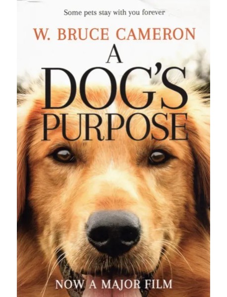 Dogs Purpose, A (Ned)'