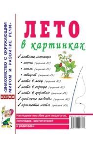 Лето в картинках. Наглядное пособие для педагогов, логопедов, воспитателей и родителей