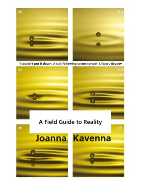 A Field Guide to Reality