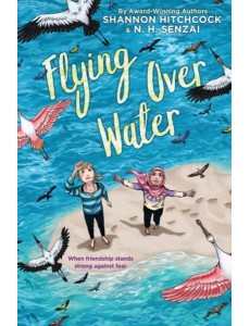 Flying Over Water Flying Over Water