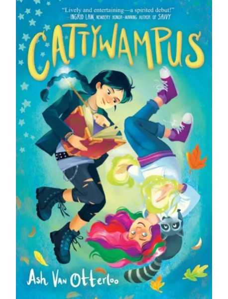 Cattywampus