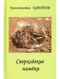 Сверхлегкие намеки
