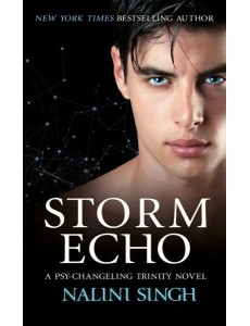 Storm Echo Storm Echo