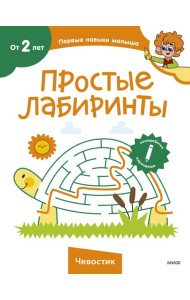 Простые лабиринты (Чевостик)