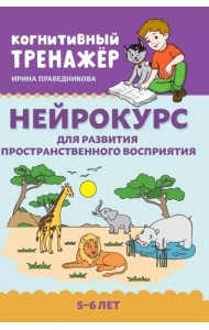 Нейрокурс для развития пространственного восприятия: 5-6 лет
