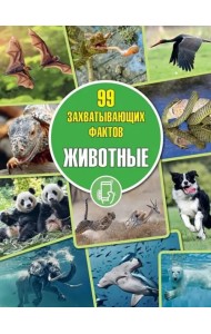 Животные