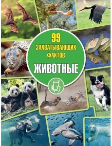 Животные