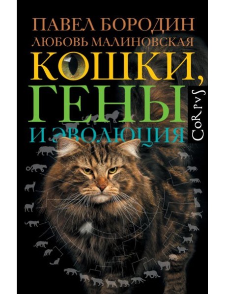 Кошки, гены и эволюция