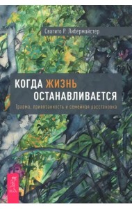 Когда жизнь останавливается. Травма, привязанность и семейная расстановка (6490)