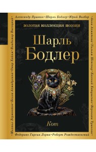 Кот