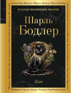 Кот Кот