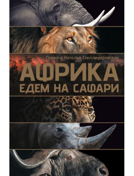 Африка. Едем на сафари